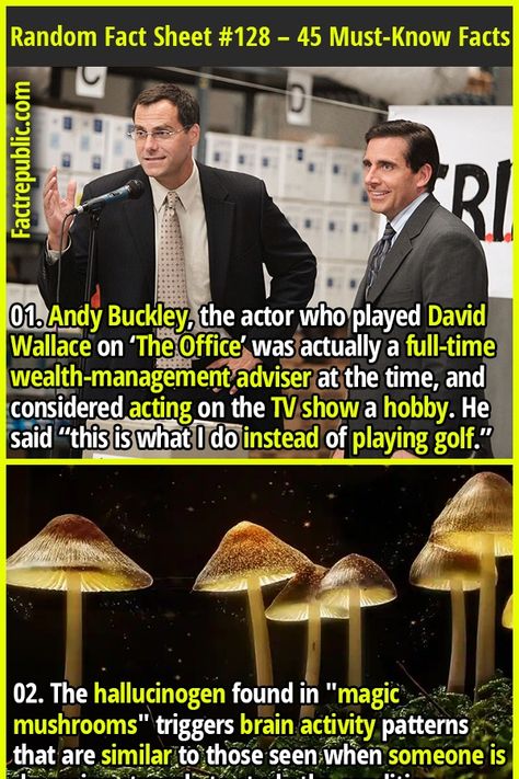 Andy Buckley, Odd Facts, David Wallace, Fact Republic, True Interesting Facts, 21st Century Learning, Playing Golf, Fascinating Facts, Random Facts