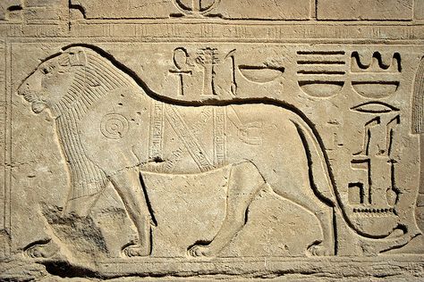 Ancient Egyptian lion Ancient Egypt Animals, Ancient Lion, Ancient Egyptian Goddess, Greek Columns, Ancient Paintings, Old Egypt, Egypt Art, Relief Sculpture, Ancient Egyptian Art