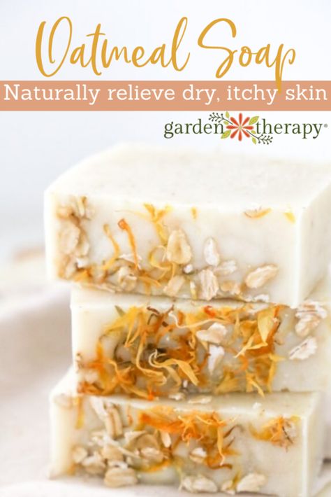 Bhg's Best Diy Ideas, Oatmeal Soap Recipe, Facial Soap Recipe, Homemade Scents, Glycerin Soap Recipe, Diy Natural Beauty Recipes, Beeswax Soap, Natural Soaps Recipes, Goat Milk Recipes