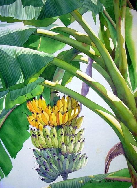 Tropical Fruit Painting, Banana Leaves Drawing, Banana Tree Watercolor, Banana Tree Painting, Banana Drawing, Banana Painting, Easy Landscape Paintings, Watercolor Paintings Nature, Banana Tree