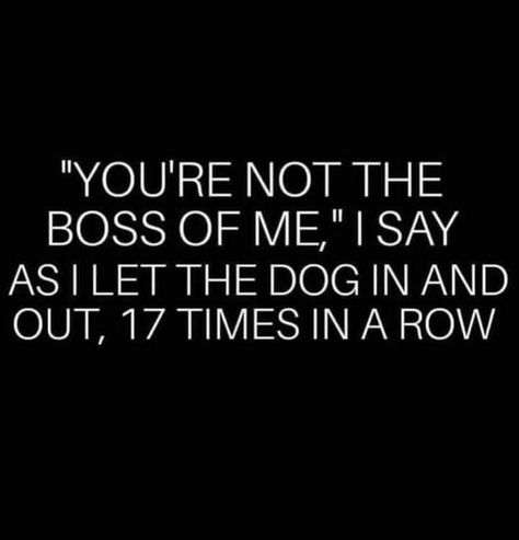 You're not the boss of me Dog owner humor Dog Owner Quotes, Owner Quotes, Dog Mom Quotes, Funny Mom Quotes, Dog Funny, Wholesome Memes, Dog Owner, Dog Quotes, I Love Dogs