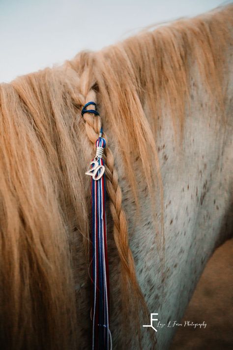 Senior Rodeo Pictures, Barrel Racer Senior Pictures, Horse Senior Photoshoot, Graduation Horse Photoshoot, Equestrian Graduation Pictures, Graduation Photos With Horses, Cowgirl Senior Pictures Ideas Outfit, Grad Pics With Horses, Western Cap And Gown Pictures