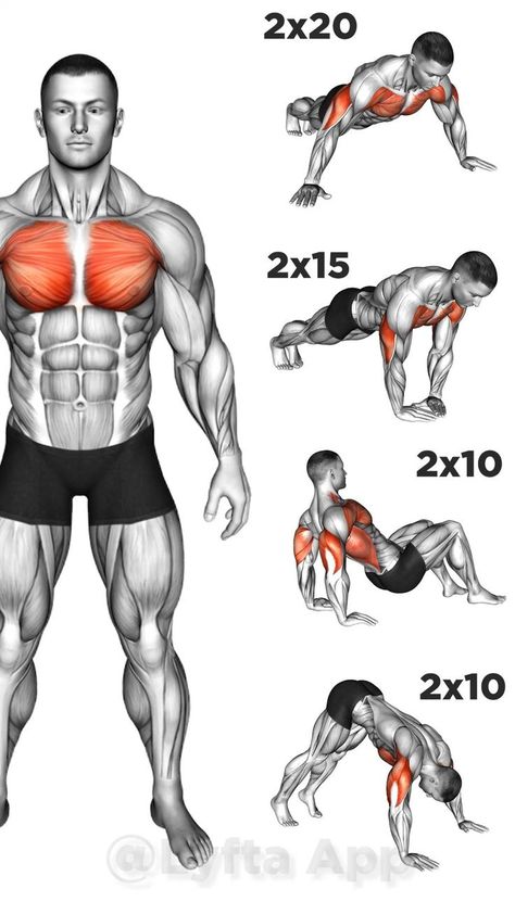 Chest Exercises At Home 🔥 Chest Exercises At Home, Bodyweight Back Workout, Chest Workout At Home, Chest Workout Routine, Gym Workout Guide, Latihan Dada, Workout Program Gym, Chest Exercises, Trening Sztuk Walki