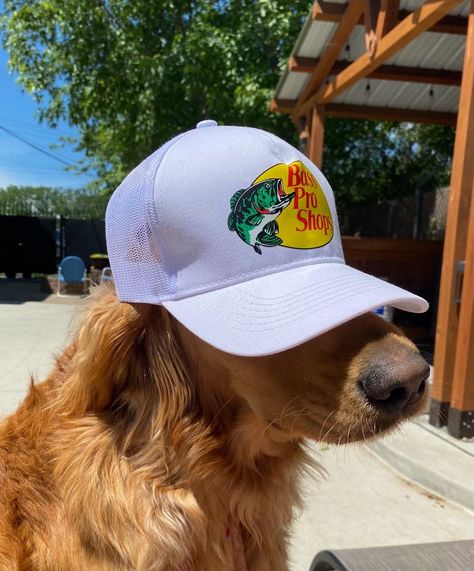 bass pro shops hat puppy golden retriever summer aesthetic dog Golden Retriever Summer, Bass Pro Shops Hat, Puppy Golden Retriever, Yellow Camouflage, Bass Pro Shop Hat, School Giveaways, Topi Snapback, Bass Pro Shop, Hat Aesthetic