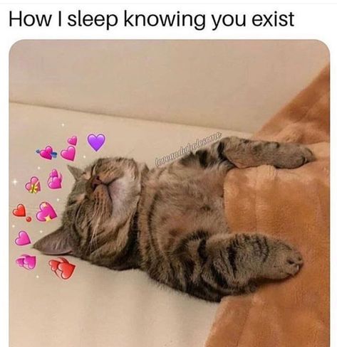 Bae, bestie, wholesome Disney Love Stories, Bday Gift For Boyfriend, Cute Love Memes, Silly Cats Pictures, Text For Her, Cute Messages, Relationship Memes, Cute Memes, Wholesome Memes