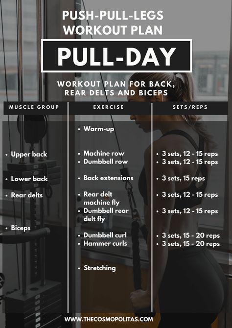 Push And Pull Workouts Gym, Push And Pull Exercises, Pull Day Workout At Home No Equipment, Pull Exercises Gym Women, 3 Day Push Pull Workout Routine, Pull Day Workout Dumbbell At Home, Pull Push Workout Plan, Pull Workout Women Gym, Pullday Workout Women