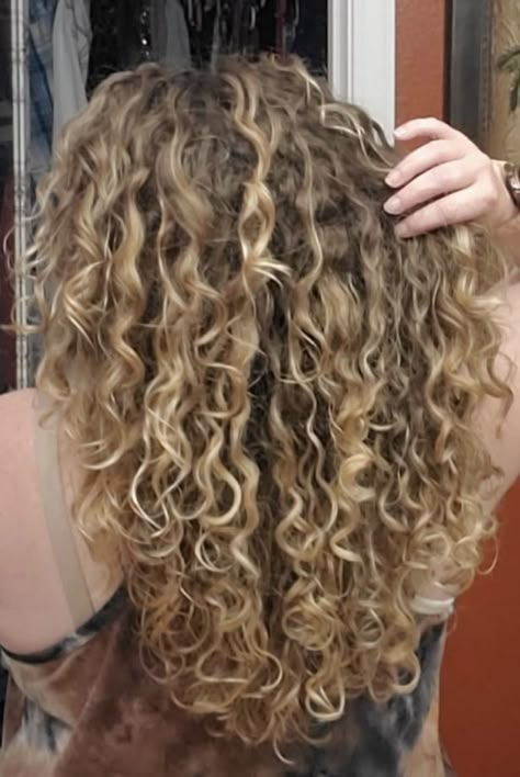 Brown Curly Hair With Blonde Tips, Super Curly Blonde Hair, Curly Sandy Blonde Hair, Really Curly Blonde Hair, Subtle Blonde Highlights Curly Hair, Blonde Curly Hair Layers, Brunette Hair With Blonde Highlights Curly, Blonde 2c Hair, Blond Curly Hair Highlights