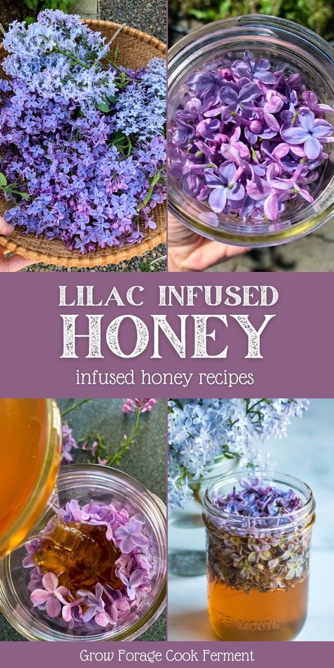 Infused Honey Recipes, Easy Honey Recipes, Raw Honey Recipes, Lilac Honey, Herb Infused Honey, Flowers Recipes, Easy Spring Recipes, Flower Recipes, Fermented Honey