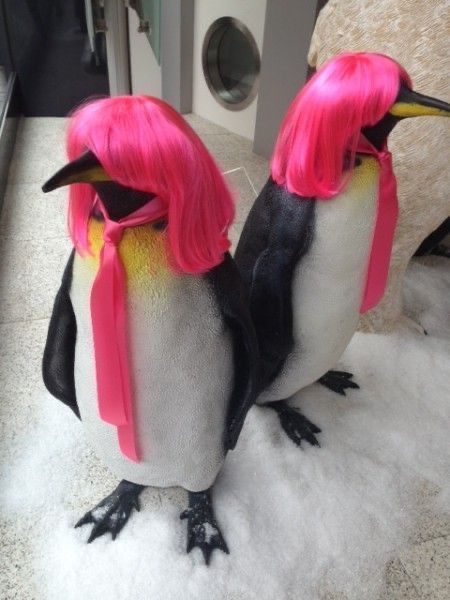 Penguins, Wigs, Birds, T Shirts, Pink