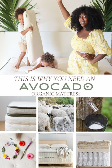 Avocado Green Mattress manufactures 100% organic certified natural mattresses, pillows & bedding. Handmade in California and shipped to your door. 

A non-toxic mattress is made without the use of toxic chemicals that can be harmful to the health of the people who use it, the folks who made it, and the environment. 

avocado mattress, organic mattress, luxury mattress, room decor, mattress, bedroom, avocado mattress discount code, camrynbyer, wellness, non toxic Avocado Mattress, Organic Mattress, Mattress Room, Green Mattress, Luxury Mattresses, Natural Mattress, Mattress Bedroom, Toxic Chemicals, Avocado Green