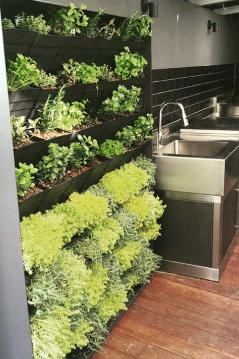 Herb garden ideas- Nine ways to create a happy herb garden Keto Fondant, Apartment Herb Gardens, Growing Herbs Inside, Cheese Flowers, Modern Photoshoot, Backyard Herb Garden, Vertical Herb Gardens, Patio Herb Garden, Herb Garden Wall