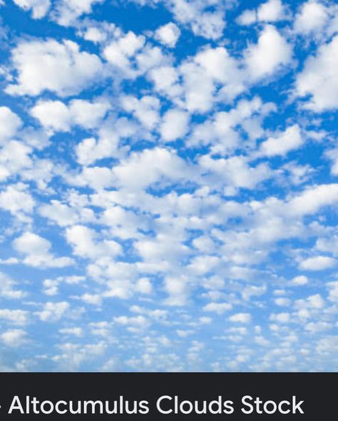 Sky - 1 In my information these clouds are known as ALTOCUMULUS CLOUDS . °They are identified by segments of clouds seen together in small or some distance .(Broken clouds) °They do not possess rain and are generally at a height of 6000-20,000 feet. ° Here because of weather conditions the density of these clouds are less . * So I have been told to let my love for sky be posted . So I’ve decided to share with you guys the perception of sky from my viewpoint .* Picture 1 is taken by me P... I Love You Clouds, Altocumulus Clouds, Broken Clouds, Weather Conditions, My Love, Density, Let It Be, Quick Saves