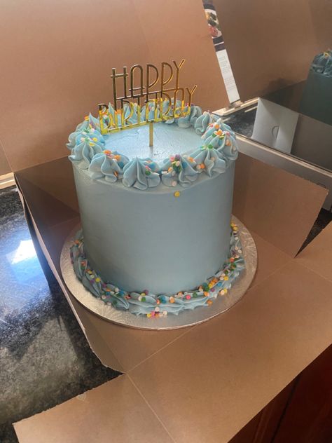 Pastel Blue Cake Birthday, Light Blue Minimalist Cake, Light Blue Birthday Cake, Light Blue Cake Aesthetic, Light Blue Cake, Sky Blue Bento Cake, Pale Blue Birthday Cake, Blue Birthday Cakes, White Birthday Cakes