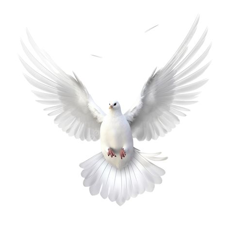 Dove Png, Dove Flying, White Pigeon, Christ Painting, Jesus Christ Painting, Logo Cloud, Natural Inspiration, Portrait Background, Watercolor Feather