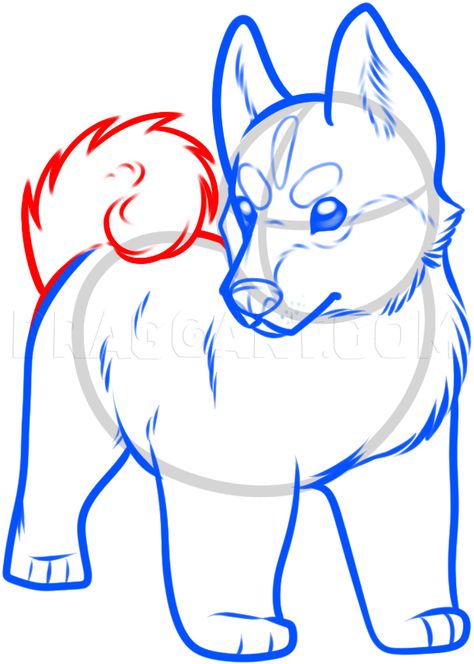 How To Draw A Pomsky, Step by Step, Drawing Guide, by Dawn | dragoart.com Animal Sketches Easy, Husky Drawing, Chibi Sketch, Hybrid Dogs, Drawing Guide, Husky Puppy, Step Drawing, Guided Drawing, Animal Sketches