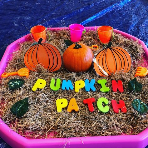 Pumpkin Tuff Tray Ideas Eyfs, Pumpkin Patch Tuff Tray, Pumpkin Eyfs Activities, Pumpkin Tuff Tray Ideas, Pumpkin Tuff Tray, Autumn Tuff Tray Ideas, Halloween Tuff Tray Ideas, Halloween Tuff Tray, Tuff Tray Ideas