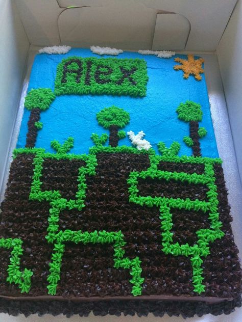 Terraria Birthday Cake, Terraria Birthday Party Ideas, Terraria Cake, 11th Birthday Cake, Winter Cakes, Baked Goods Desserts, Leo Birthday, Winter Cake, Kids Birthday Ideas