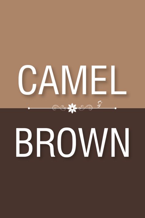 Caramel Outfit Color Combos, Camel Color Palette, Color Knowledge, Colour Combinations Fashion, Color Combos Outfit, Color Combinations For Clothes, Brown Color Palette, Good Color Combinations, Color Palette Bright