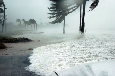 Bad Storms, Summer Storm, Storm Surge, Tropical Storm, Key West Florida, Winter Storm, Emergency Preparedness, Travel Insurance, Key West