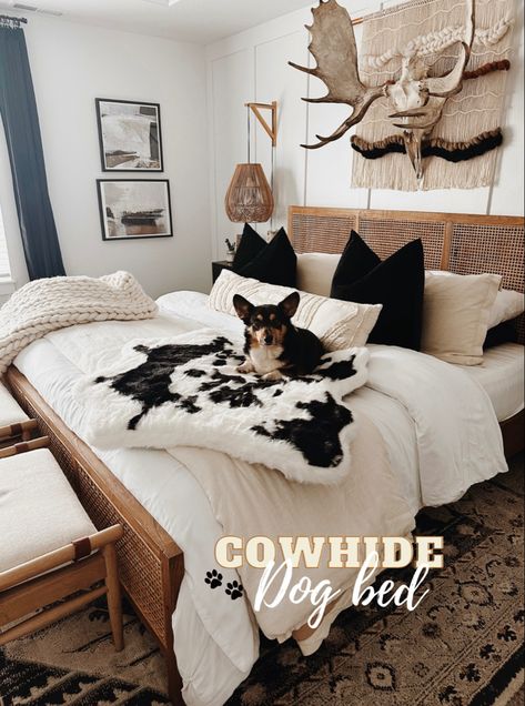 Shop my favorite dog bed!🐾 Dog Bed, Content Creator, Magnolia, My Favorite, New Homes, Shop My, Bed, Dogs, Home Decor