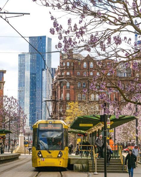 📍 St Peter's Square, Manchester 📷 IG: @throughmylenstm #bestofmcr Aesthetic Manchester, Manchester Flat, Manchester Aesthetic, Manchester Photography, Warehouse Project, Future Days, Pretty Views, Photography Location, University Of Manchester