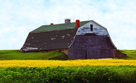 Explore Maine by Bike: Aroostook Region Aroostook County, Presque Isle, Scenic Design, Best Seasons, Awe Inspiring, The Locals, Summer Vacation, New England, Outdoor Activities