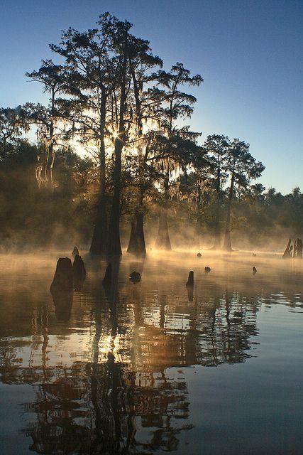 Bayou Benoit Sunrise, .- Bayou Benoit is a gut located just 12.5 miles from Saint Martinville, in St. Martin Parish, in the state of Louisiana,  near Dauterive Landing, LA. Fishermen will find a variety of fish including yellow bass, bluegill, sucker, white bass, crappie, channel catfish, sunfish and yellow perch here. Louisiana Swamp, Louisiana Bayou, New Orleans Louisiana, Outlander, Beautiful World, Beautiful Landscapes, Wonders Of The World, Louisiana, Places To See