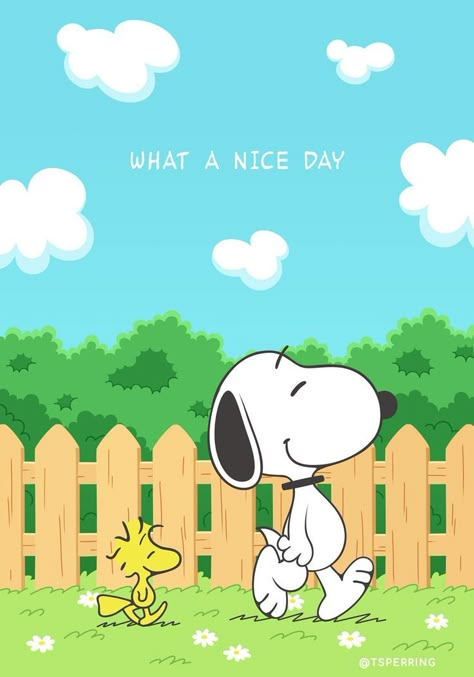 Snoopy Friday, Peanuts Snoopy Comics, Charlie Brown Wallpaper, Wallpaper Snoopy, Happy Birthday Snoopy, Birthday Snoopy, Peanuts Wallpaper, Charlie Brown Characters, Snoopy Tattoo