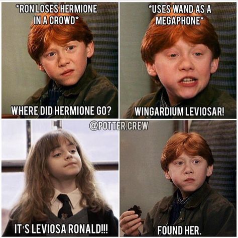 Harry Potter Foods To Make, Harry Potter Funny Pictures, Glume Harry Potter, Funny Harry Potter Jokes, Potter Head, Harry Potter Memes Hilarious, Hp Harry Potter, Harry Potter Spells, Harry Potter Feels