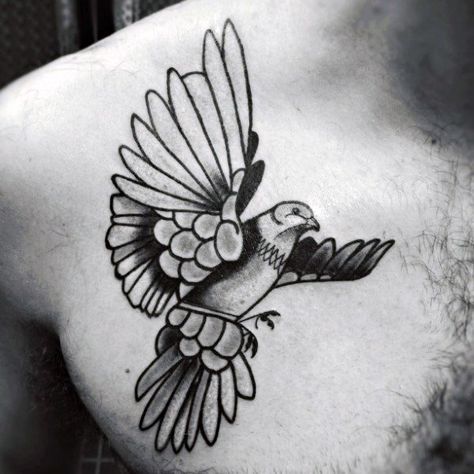 Pigeon Tattoos Male Turtledoves Tattoo, Traditional Pigeon Tattoo, Messenger Pigeon, Pigeon Tattoo, Tattoos Male, Pigeon Breeds, Geometry Tattoo, Art Gallery Interior, Old School Tattoo Designs