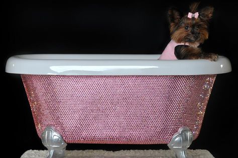 Luxury dog houses: pet palaces for your pampered pooches | loveproperty.com Dog Mansion, Velvet Dog Bed, Luxury Dog House, Love Your Pet Day, Crystal Dog, Dog Pool, Pampered Pooch, Dog Products, Barn Conversion