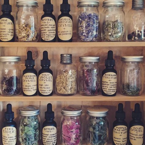 Annelise Thom on Instagram: “When your herb cabinet and your medicine cabinet are the same thing 🌿🌿 bottled up the oxymels today and they turned out so delicious.…” Herb Cabinet, Apothecary Pantry, Herbal Medicine Cabinet, Herbal Shop, Apothecary Decor, Herb Jar, Herb Shop, Herbal Apothecary, Herbal Healing