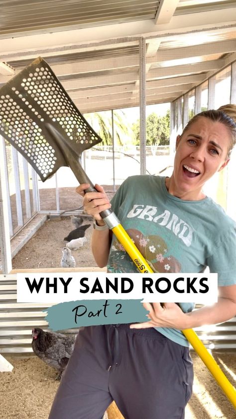 Chickens & Gardening • Lyndsey Gaskins | Hey friends! I compiled everyone’s questions from the first sand video and answered them below. 👉Comment “shovel” for a link to this… | Instagram Chicken Coop Sand, Sand Video, Toddler Garden, Quail Coop, Home Garden Ideas, Chicken Poop, Clean Chicken, Chicken Coop Designs, Chicken Garden