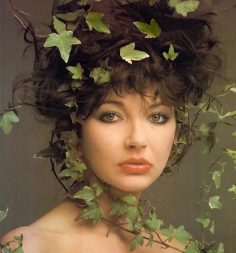 Hounds Of Love, Queen Kate, Kate Bush, Lisa Bonet, Wuthering Heights, Montage Photo, I'm With The Band, Pink Lady, Laura Lee