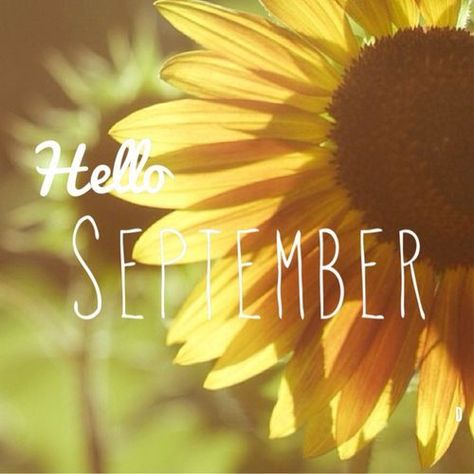 Hello September Pictures, Photos, and Images for Facebook, Tumblr, Pinterest, and Twitter Hello November, Hello September, The Words, Sunflower, Tumblr, Yellow, White