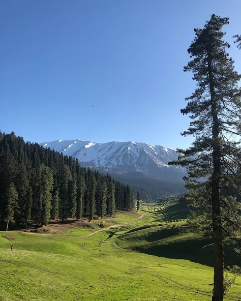 Gulmarg Kashmir Photography Poses, Gulmarg Kashmir Photography, Kashmir Aesthetic, Warm Pictures, Gulmarg Kashmir, Kashmir Tour, Kashmir Valley, Aesthetic View, Scenic Travel