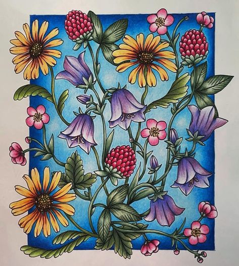 Lauren | Wildflowers by Maria Trolle from Twilight Garden using Castle Arts pencils. I colored this for 2 Instagram… | Instagram Twilight Garden Maria Trolle Finished Pages, Twilight Garden Maria Trolle, Maria Trolle Twilight Garden, Twilight Garden, Pencil And Pen, Gardens Coloring Book, Pen Art Drawings, Hand Painted Scarves, Castle Art