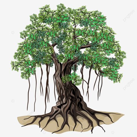 Banyan Tree Sketch, Banyan Tree Illustration, Banyan Tree Painting, Banyan Tree Drawing, Banyan Tree Bonsai, Tree Branding, Bedroom Tree, Graphics Resources, Plant Png