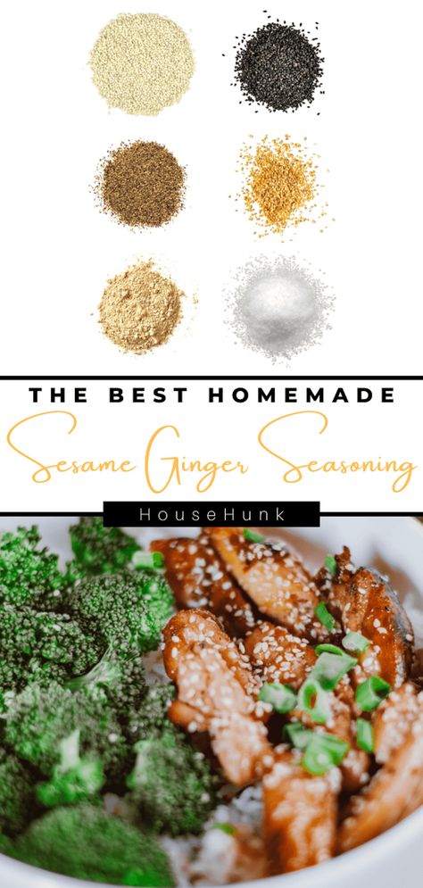 Unleash the magic of homemade Sesame Ginger Seasoning. Discover its origins, versatile uses, and easy recipe. Elevate your culinary creations today! Asian Seasoning Blend, Teriyaki Seasoning, Ginger Seasoning, Sesame Ginger Sauce, Teriyaki Recipes, Asian Sauces, Asian Seasoning, Salmon Glaze Recipes, Homemade Seasoning