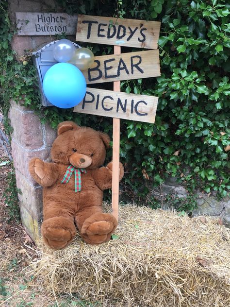 Teddy Bear Picnic Ideas, Teddy Bears Picnic, Teddy Bear Picnic Birthday Party, Teddy Bear Birthday Party, Teddy Bear Day, Picnic Birthday Party, Teddy Bear Party, Teddy Bear Birthday, Picnic Theme