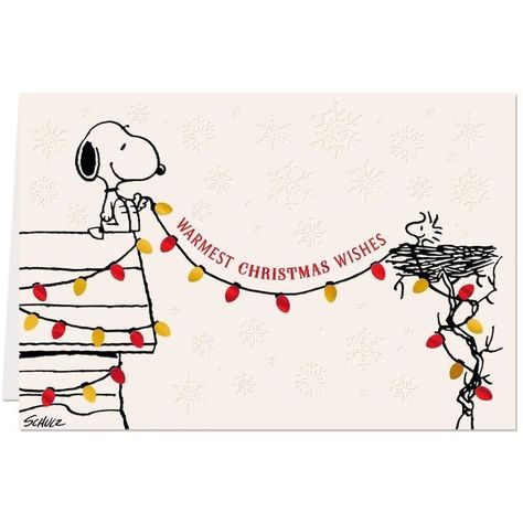 Snoopy Christmas Quotes, A Charlie Brown Christmas, Snoopy Funny, Snoopy Images, Peanuts Cartoon, Snoopy Wallpaper, Brown Christmas, Snoopy Quotes, Peanuts Christmas