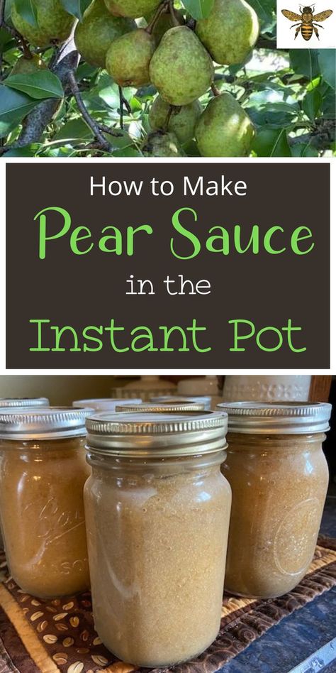 Pear Sauce Instant Pot, How To Can Pear Sauce, Waterbath Canning Pears, What To Do With Pears Ideas, Preserving Pears, Things To Make With Pears, What To Do With Pears, Fresh Pears What To Do With, Pear Recipes For Canning