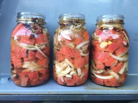 Pickled Fish Recipe, Pickled Meat, Salmon Sisters, Pickled Fish, Canned Salmon Recipes, Recipe Salmon, Can Salmon, Holistic Recipes, Wild Game Recipes