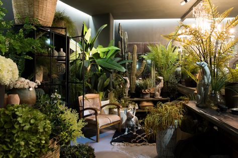 The UK-based designer Abigail Ahern overhauled a room with no natural light to be cozy, warm, and inviting—the picture of welcoming retail. Grow Room, Abigail Ahern, My Space, Room With Plants, Cozy Cabin, Faux Plants, British Design, Architectural Digest, Garden Room