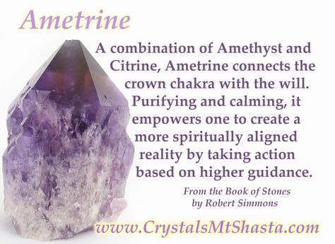 Crystal of the Day - Ametrine, a combination of Amethyst and Citrine which unites the crown chakra with the will!  www.crystalsmtshasta.com Ametrine Meaning, Preserved Animals, Hippie Family, Crystal Powers, Ametrine Crystal, The Crown Chakra, Mt Shasta, Amethyst And Citrine, Crystal Room