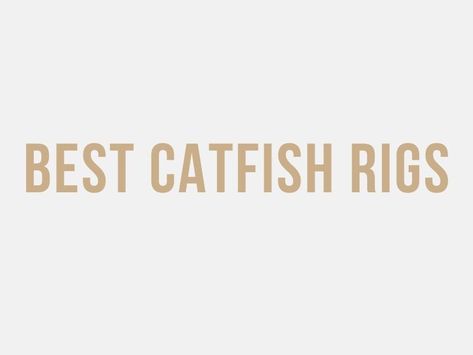 Catch more catfish with these rigs #fishing #fishingtips #catfish Catfish Rigs, How To Catch Catfish, Catfish Fishing, Freshwater Fishing, Tried And True, Fishing Tips, Catfish, Improve Yourself, Fishing