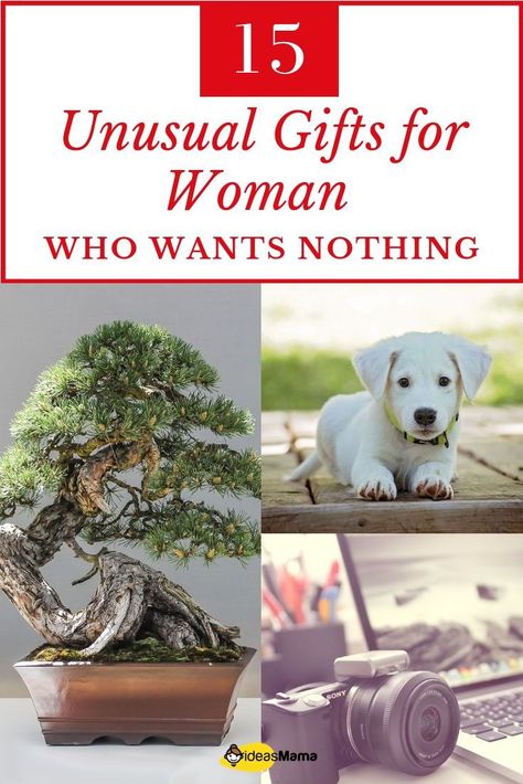 15 unusual gifts for woman who wants nothing that they will cherish. As it is tough reading the mind and picking a gift. Here is a list of awesome gift ideas for woman who have everything and wants nothing.  #GiftsForWomanWhoWantsNothing #GiftsForWoman #GiftIdeas Unusual Gifts For Women, Unusual Christmas Gifts, Interactive Gifts, Graduation Gifts For Him, Christmas Gifts For Wife, Relationship Gifts, Unique Gifts For Women, Christmas Gifts For Him, Coffee Gifts