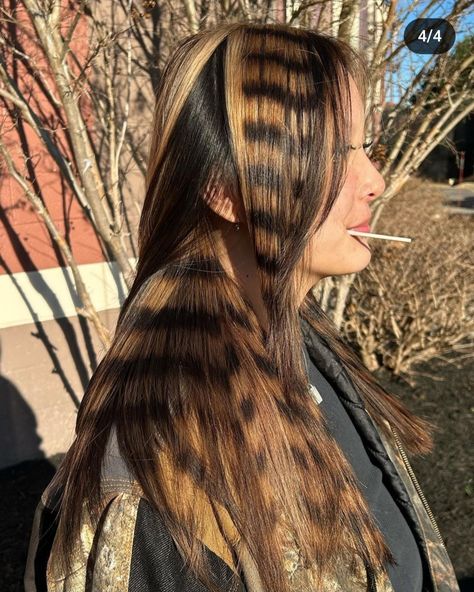 Coontail Hair Extensions, Leopard Print Hair Dye, Long Messy Layers, Tiger Hair Color, Racoon Highlights, Raccontails Hair, Tiger Highlights, Fox Tips Hair, Raccoon Stripes Hair