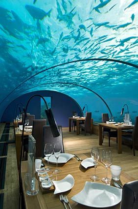 Ithaa Undersea restaurant at the Conrad Maldives Rangali Island. Would ♥ to eat here someday. Maldives Islands, Underwater Restaurant, Under The Water, Romantic Honeymoon Destinations, Best Honeymoon Destinations, Maldives Island, Maldives Travel, Best Honeymoon, Romantic Honeymoon