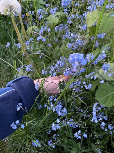 unutma beni çiçeği For Get Me Not Flowers Aesthetic, Picking Wildflowers Aesthetic, Flowers Forget Me Not, Forget Me Not Flower Aesthetic, Picking Flowers Aesthetic, Flowers Vision Board, Forget Me Not Aesthetic, Forget Me Nots Aesthetic, Flower Picking Aesthetic